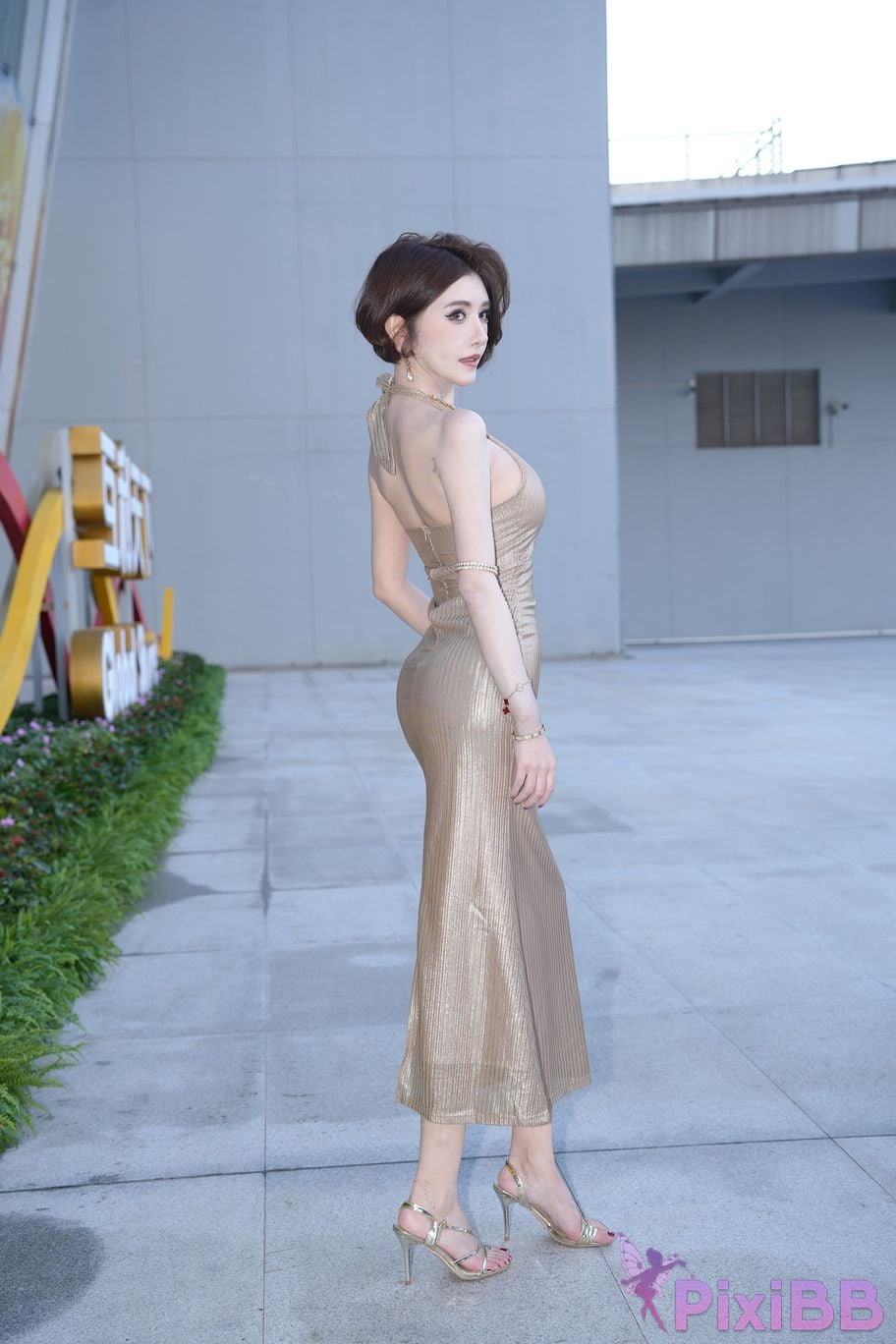 Featured Street Photography Works No.5385 Little Meow Dabao PixiBB.COM 104