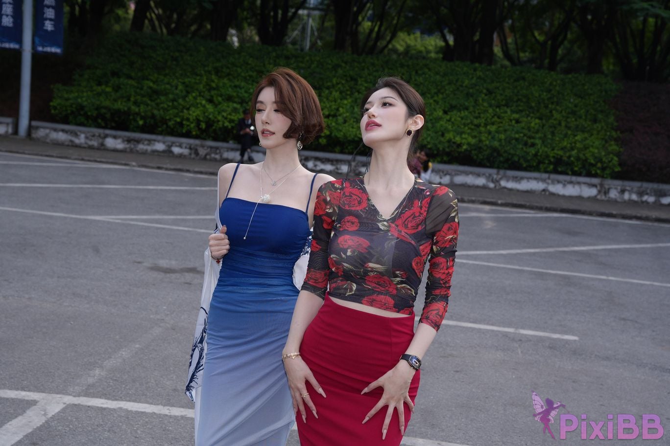 Featured Street Photography Works No.5385 Little Meow Dabao PixiBB.COM 116