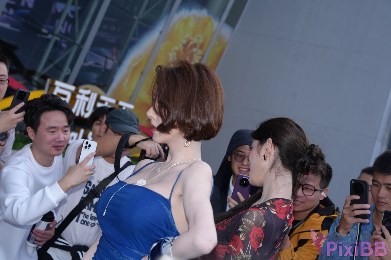 Featured Street Photography Works No.5385 Little Meow Dabao PixiBB.COM 133