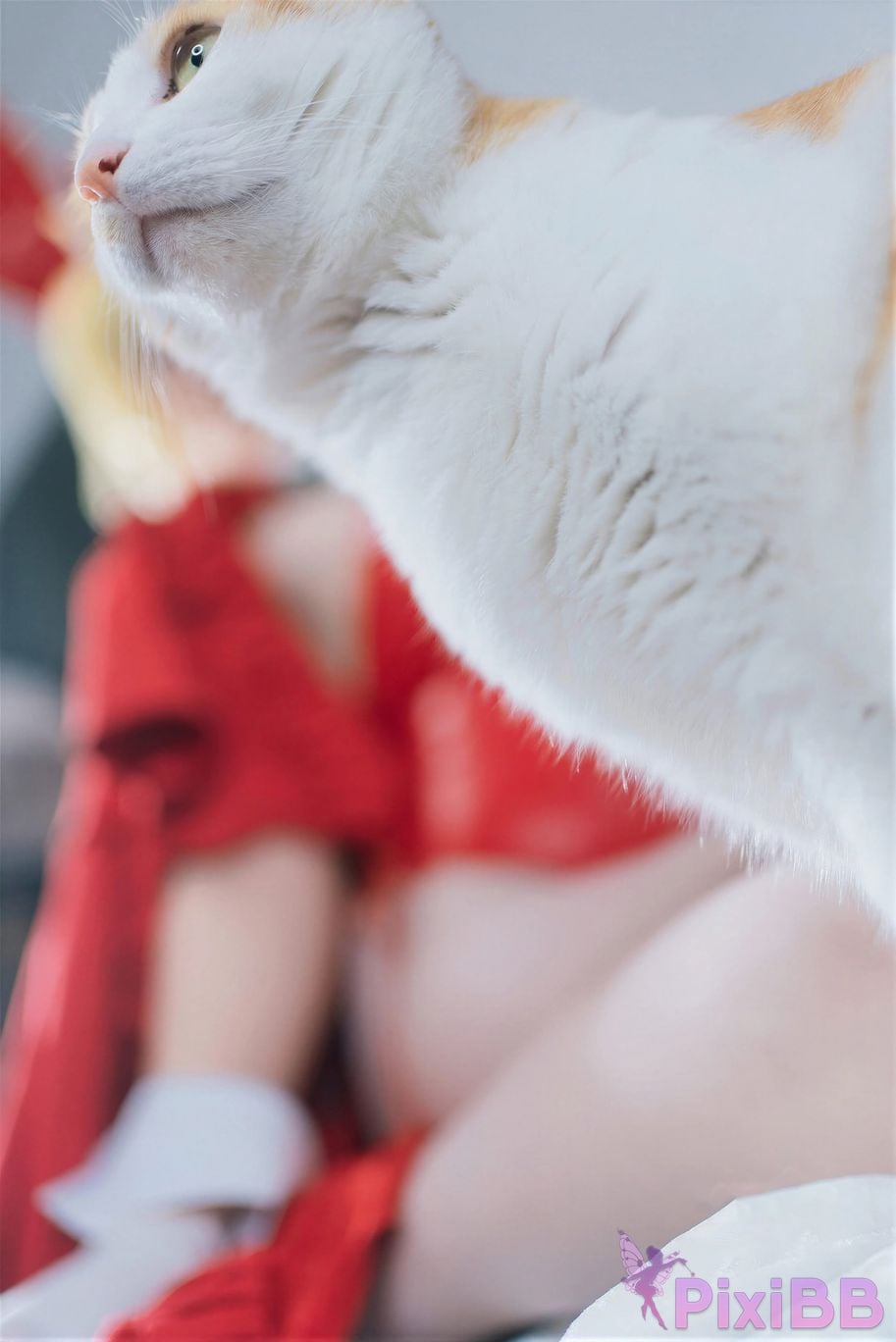 Cosplayer Ah Ban is very happy today FGO nero christmas PixiBB.COM 019