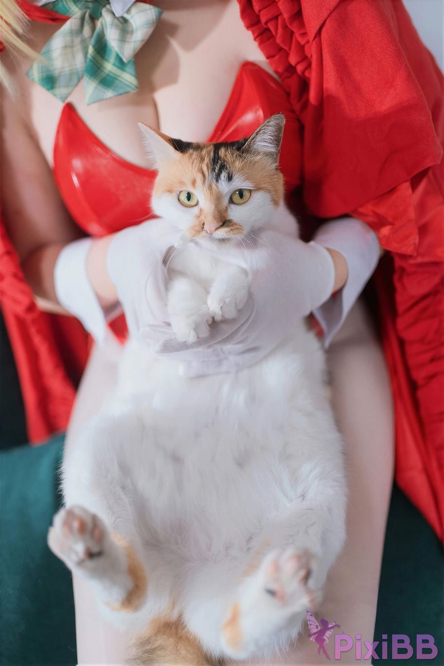 Cosplayer Ah Ban is very happy today FGO nero christmas PixiBB.COM 037