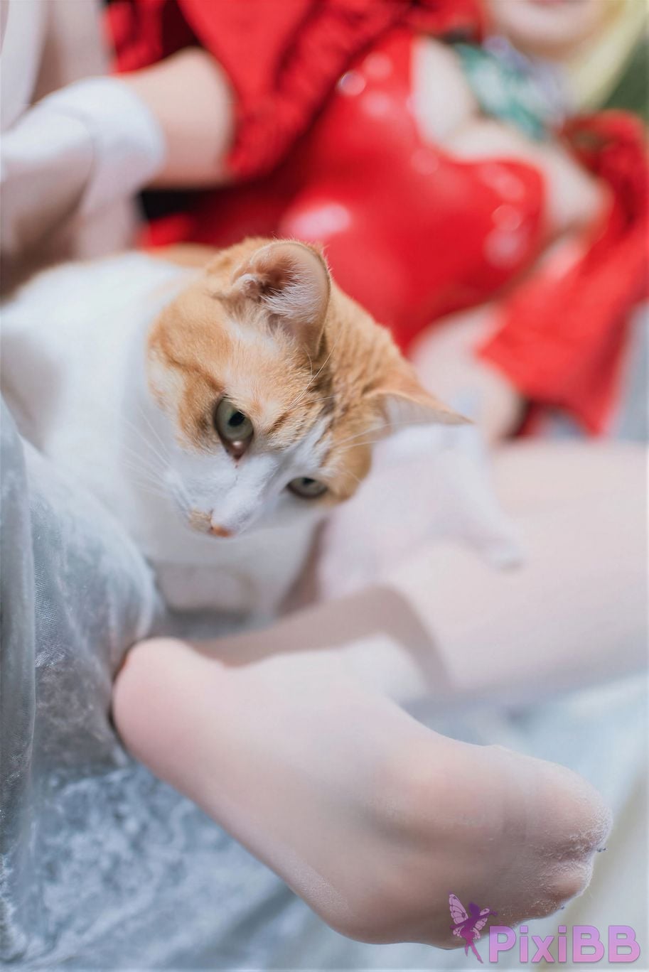 Cosplayer Ah Ban is very happy today FGO nero christmas PixiBB.COM 044