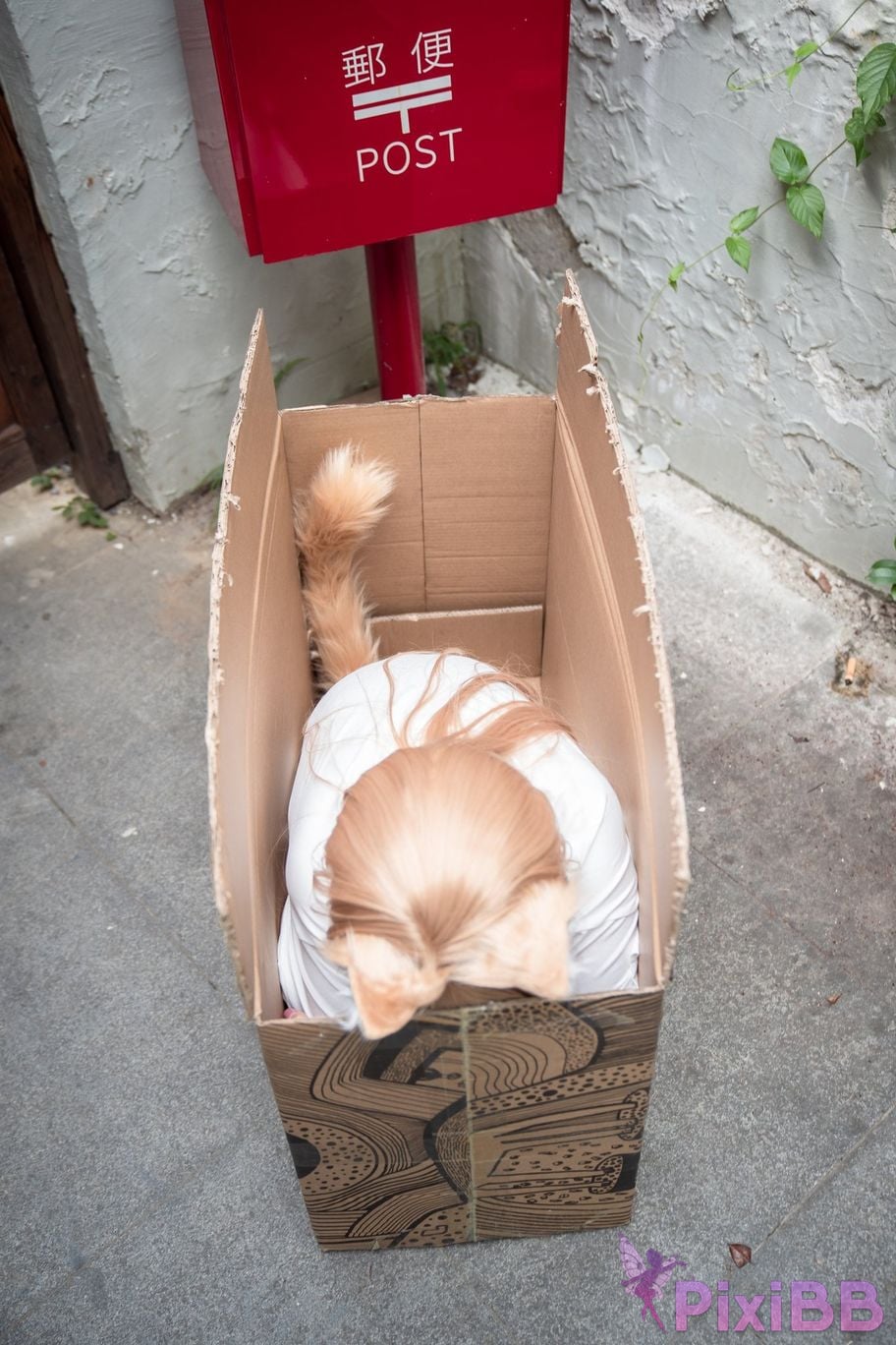 Coser Cheng zi miao jiang 70 PixiBB.COM 1099