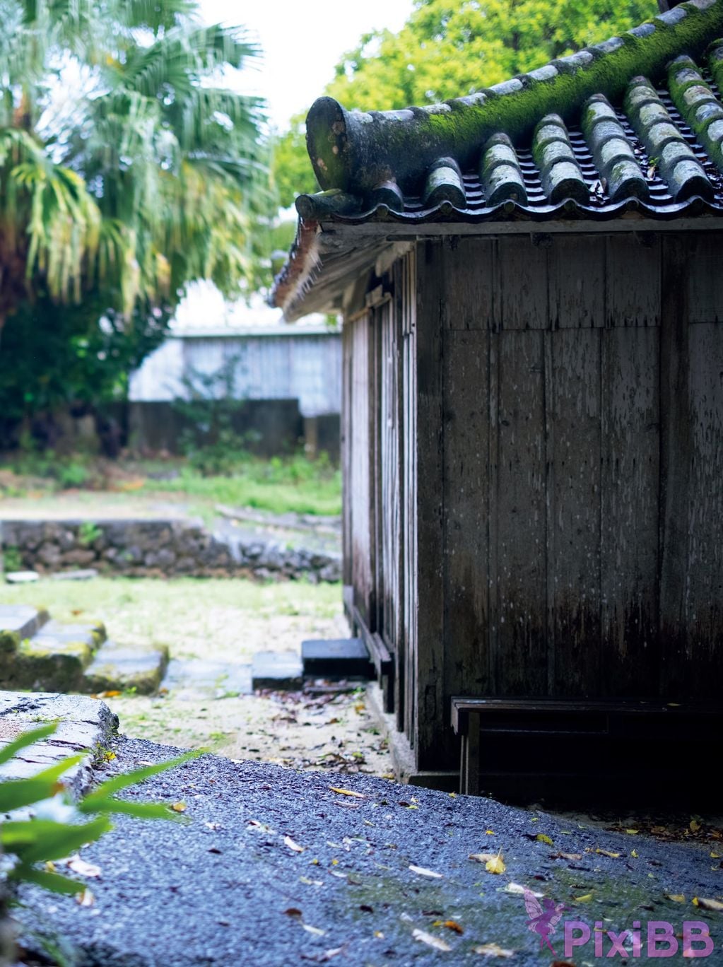 Japanese Idol Yuuri Rukawa Rui Shido Includes bonus cuts only available in the electronic version photo collection Baiyu PixiBB.COM 068