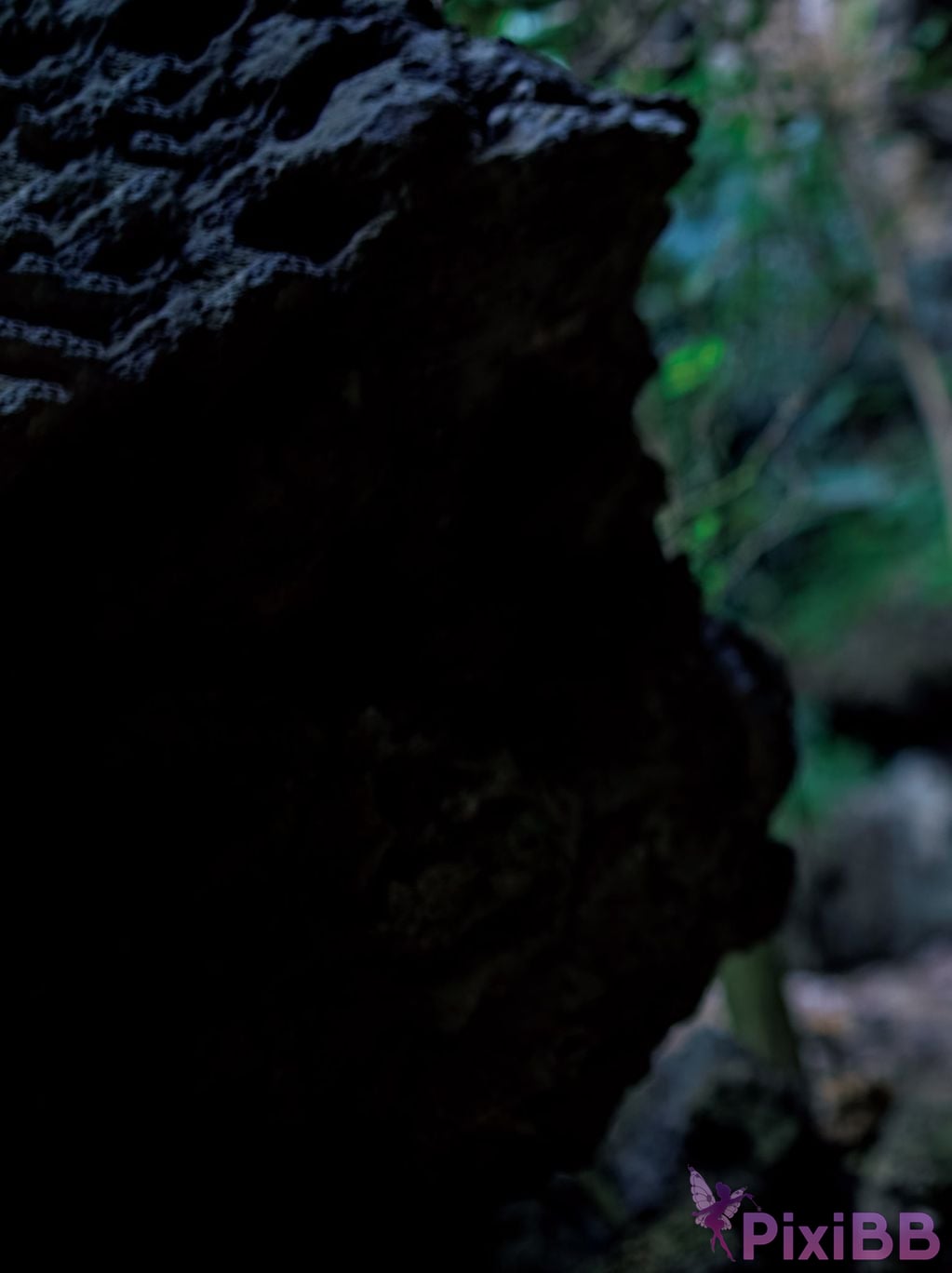 Japanese Idol Yuuri Rukawa Rui Shido Includes bonus cuts only available in the electronic version photo collection Baiyu PixiBB.COM 110