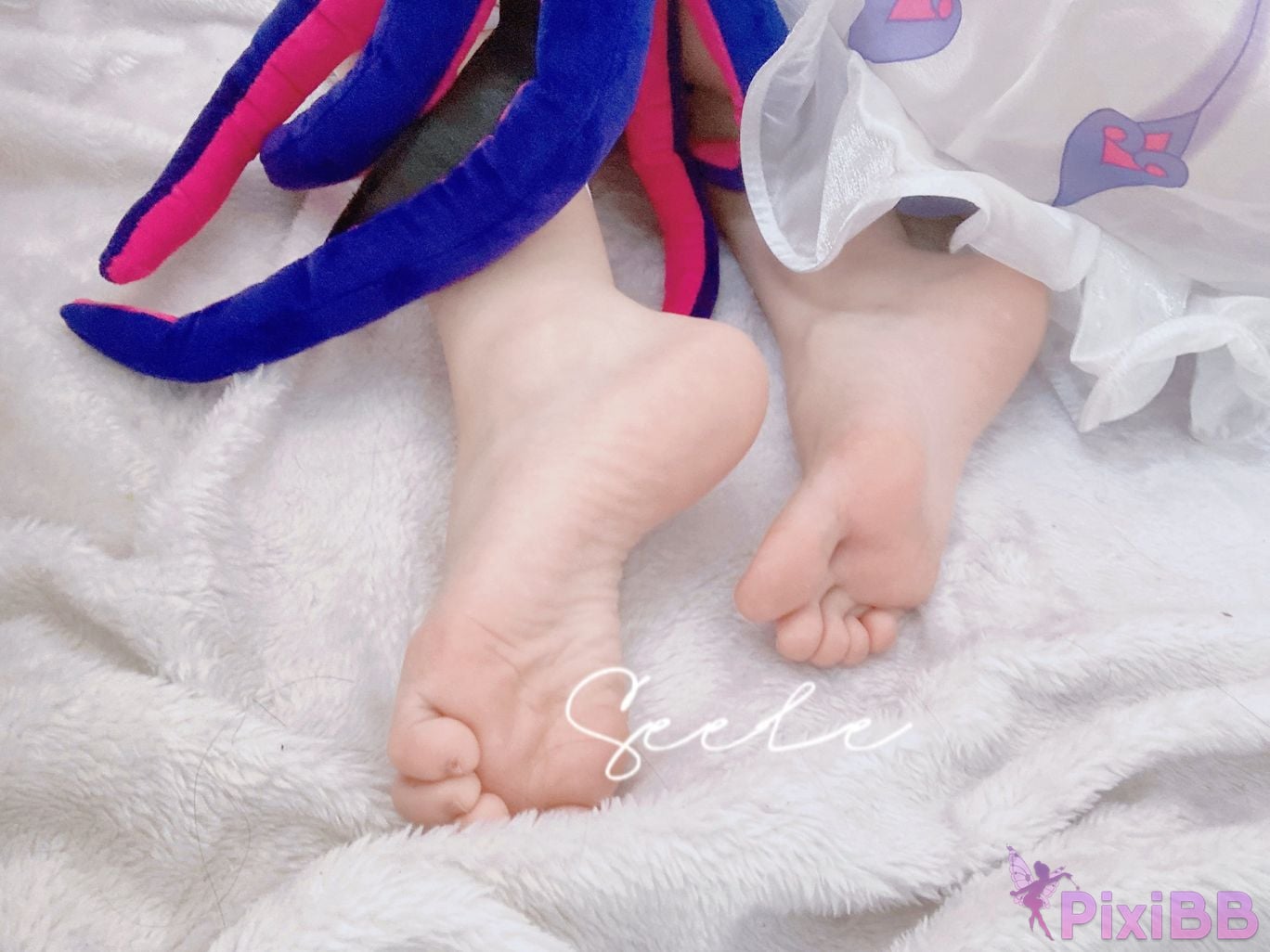 Coser Seele mai mai PixiBB.COM 012