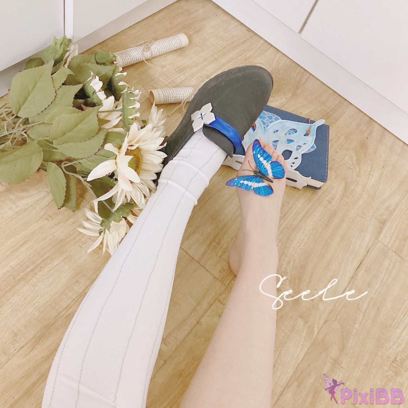 Coser Seele mai mai PixiBB.COM 154