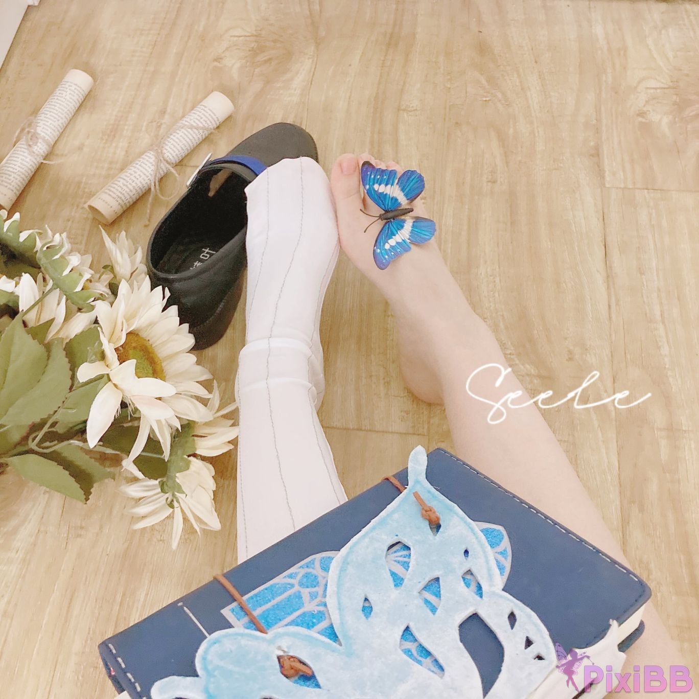 Coser Seele mai mai PixiBB.COM 157