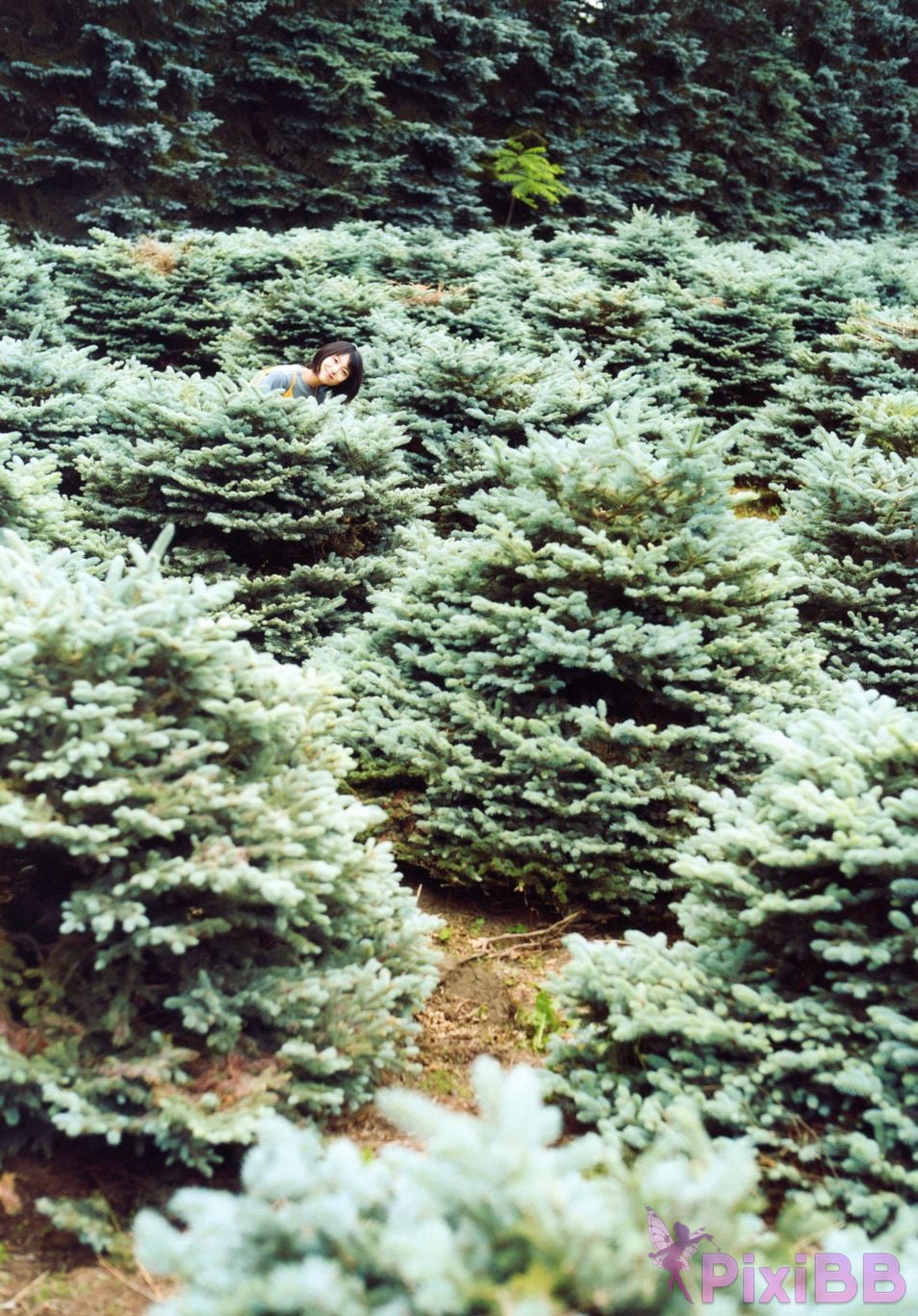 Japanese Idol Minami Hamabe Photo Book 2019 summer PixiBB.COM 040