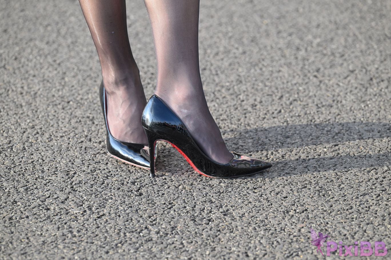 Featured Street Photography Works No.5410 Black silk leaves in the rain at sunset PixiBB.COM 087