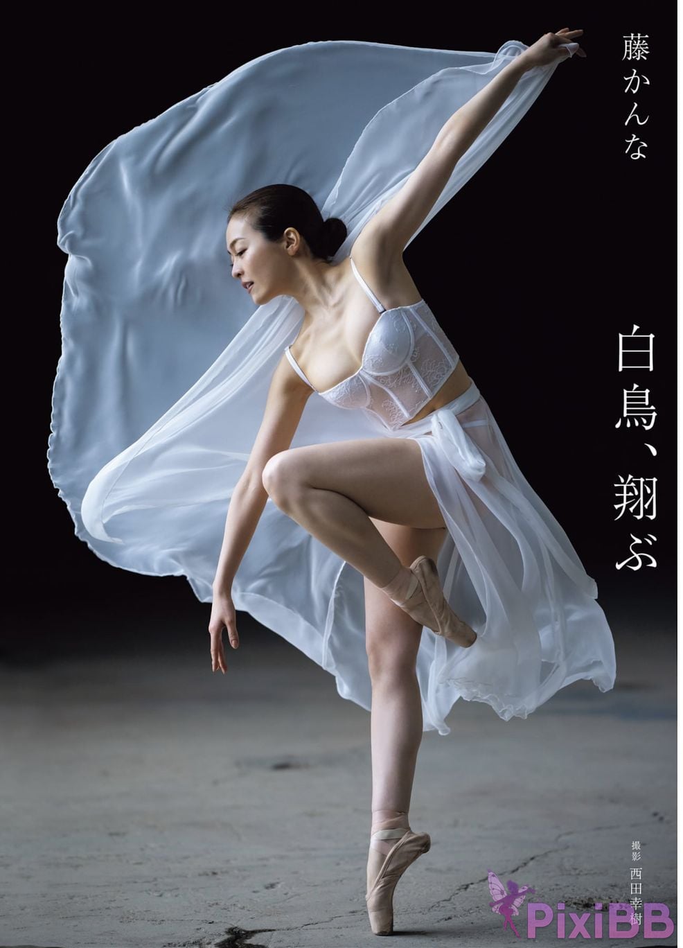 Japanese Idol Kanna Fuji plane Asa Gei SEXY Actress photo collection swan fly PixiBB.COM 001