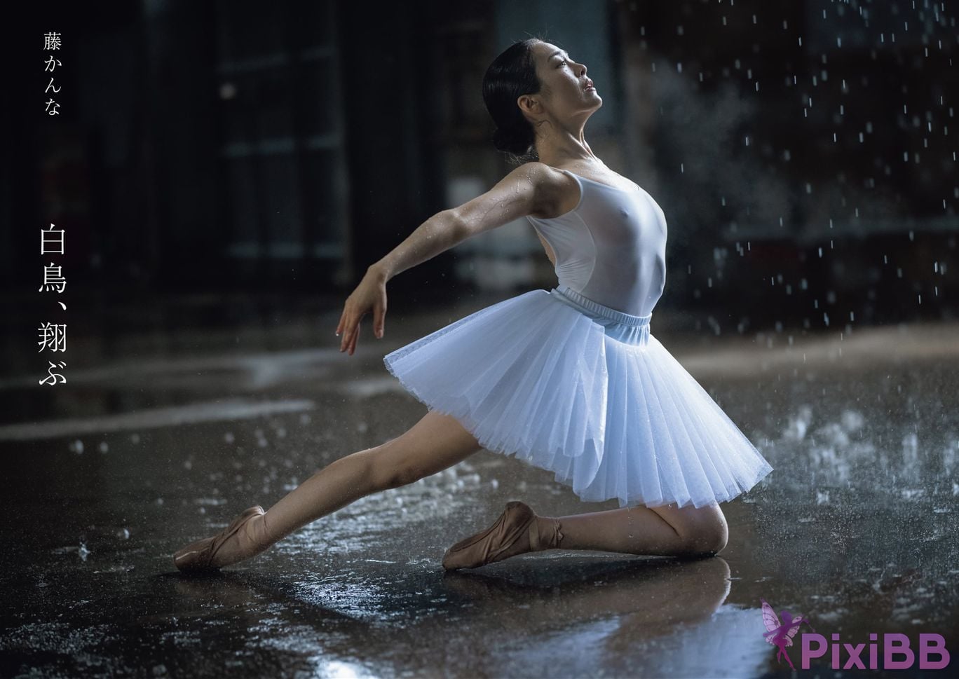 Japanese Idol Kanna Fuji plane Asa Gei SEXY Actress photo collection swan fly PixiBB.COM 057