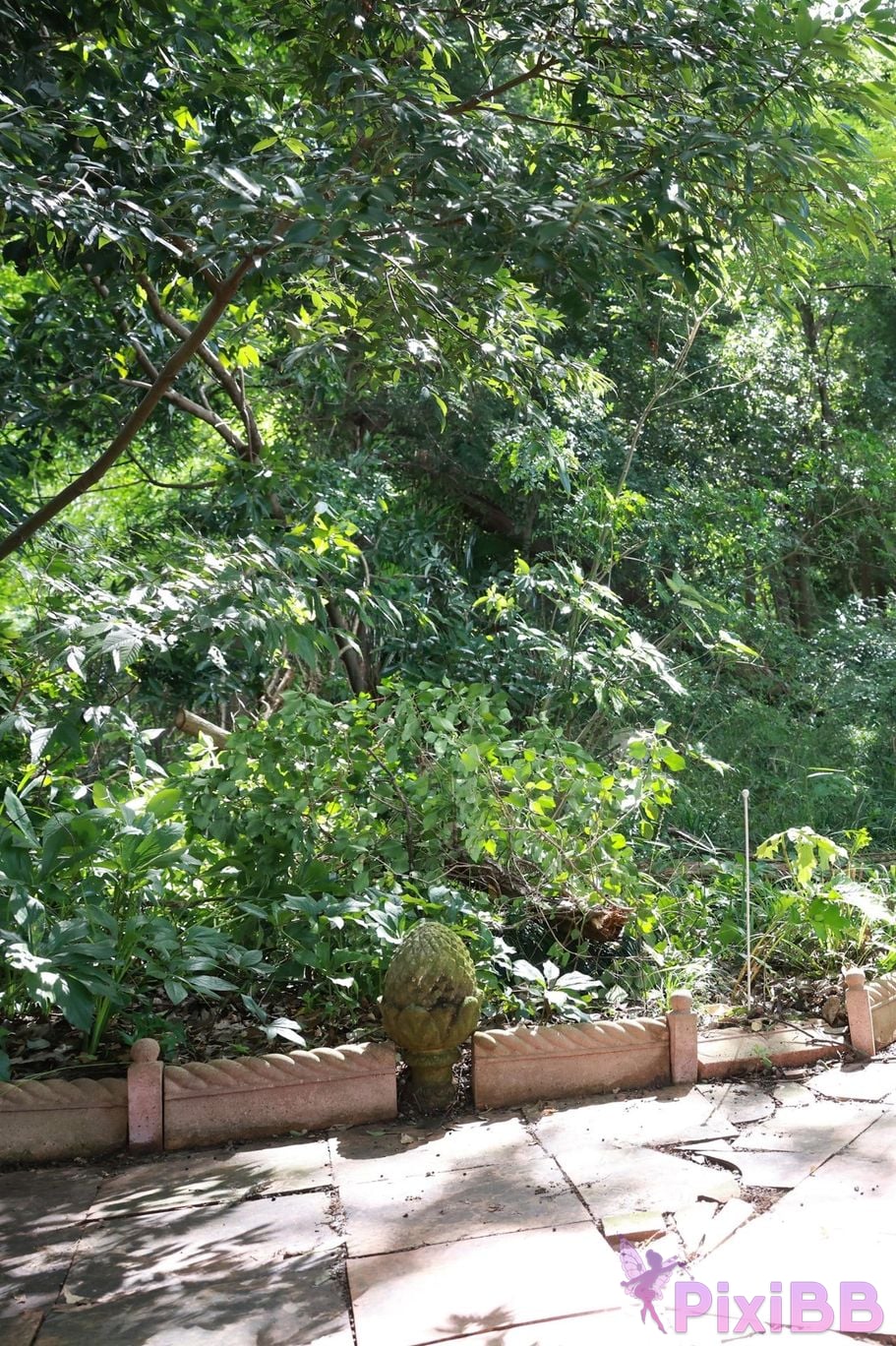 Japanese Idol Nozomi Shirakawa FRIDAY digital photo book white peach Vol.3 All unreleased 100 Cut super complete version PixiBB.COM 058