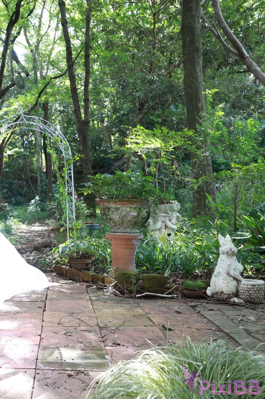 Japanese Idol Nozomi Shirakawa FRIDAY digital photo book white peach Vol.1 PixiBB.COM 010