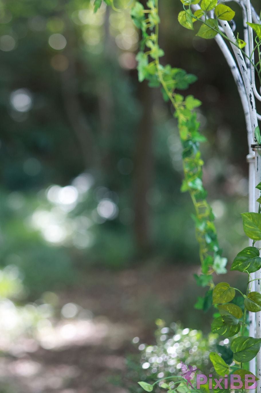 Japanese Idol Nozomi Shirakawa FRIDAY digital photo book white peach Vol.1 PixiBB.COM 018