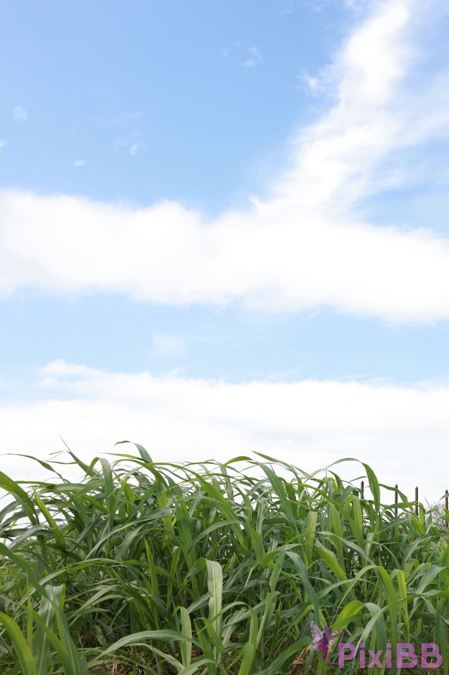 Japanese Idol Nozomi Shirakawa FRIDAY Digital Photo Book White Mince Peach Vol. 2 PixiBB.COM 003