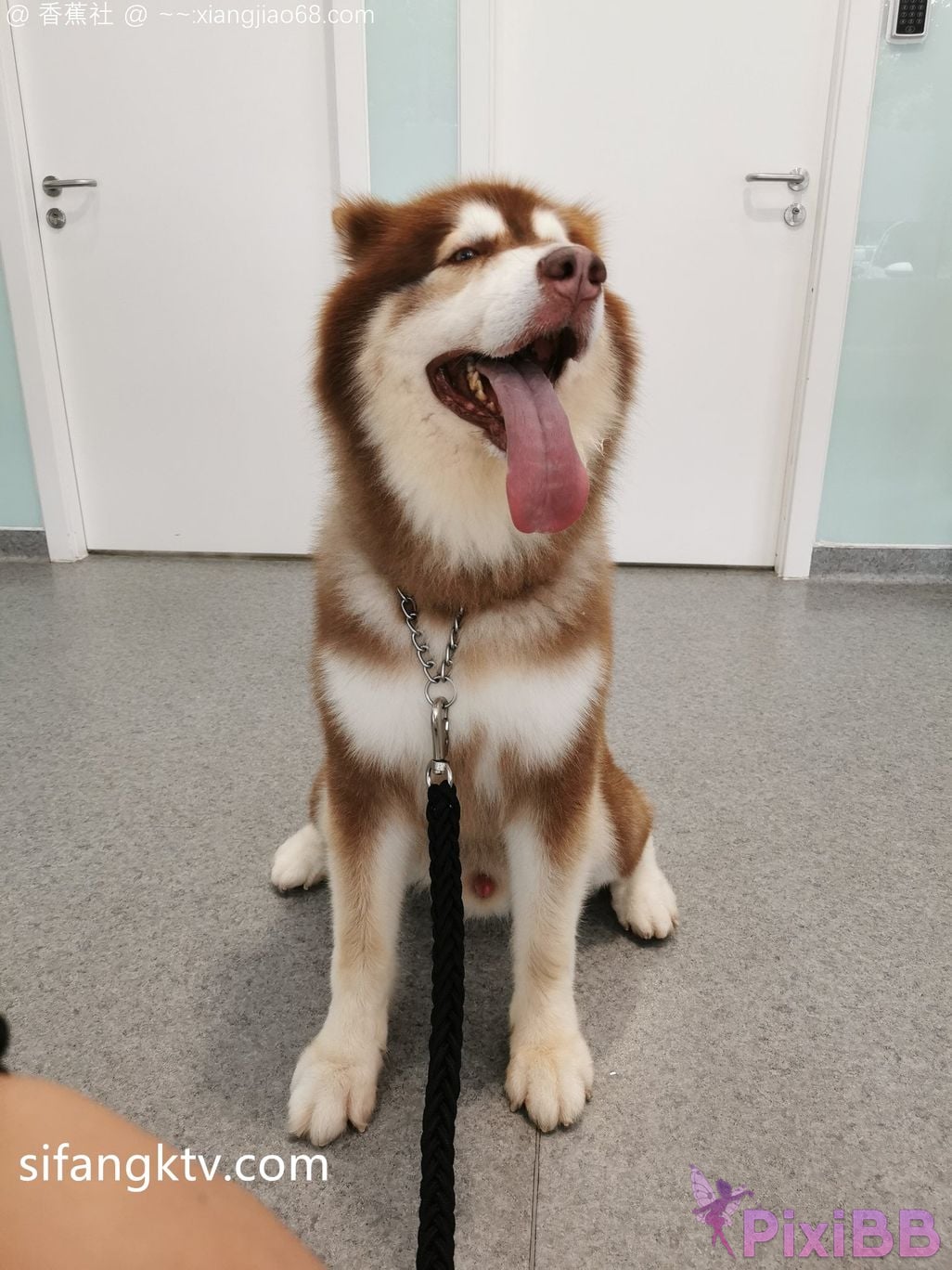 Wine Moon Big breasted goddess WisdomZ private photo selection PixiBB.COM 155