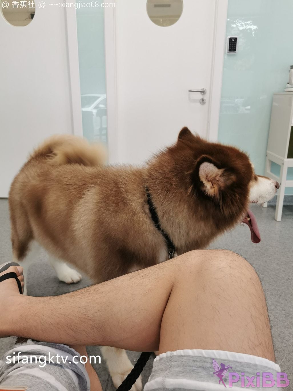 Wine Moon Big breasted goddess WisdomZ private photo selection PixiBB.COM 156