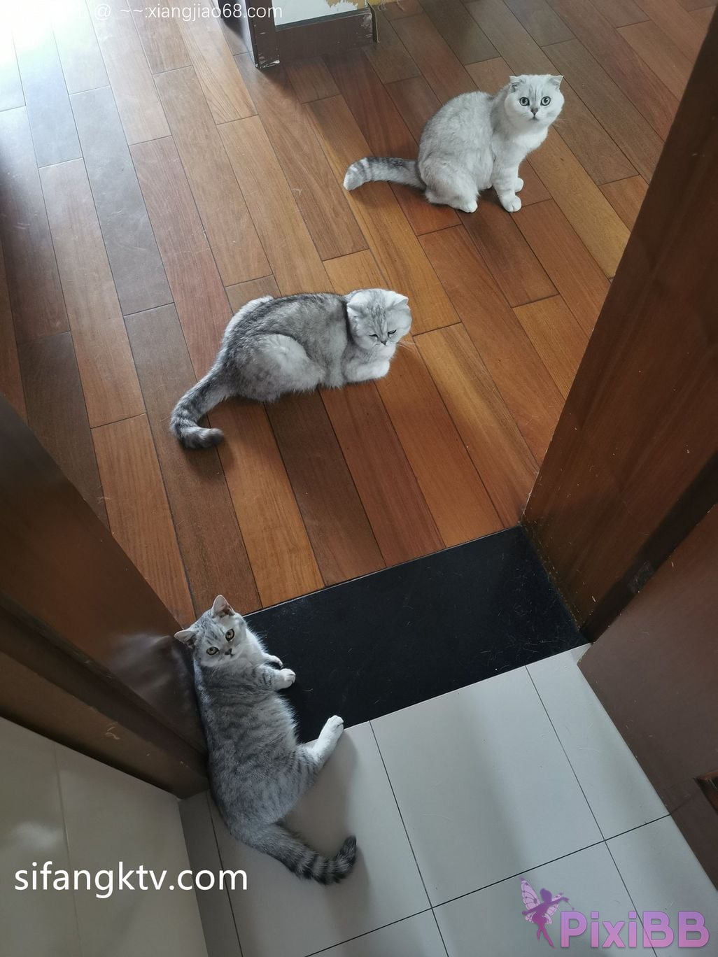 Wine Moon Big breasted goddess WisdomZ private photo selection PixiBB.COM 275