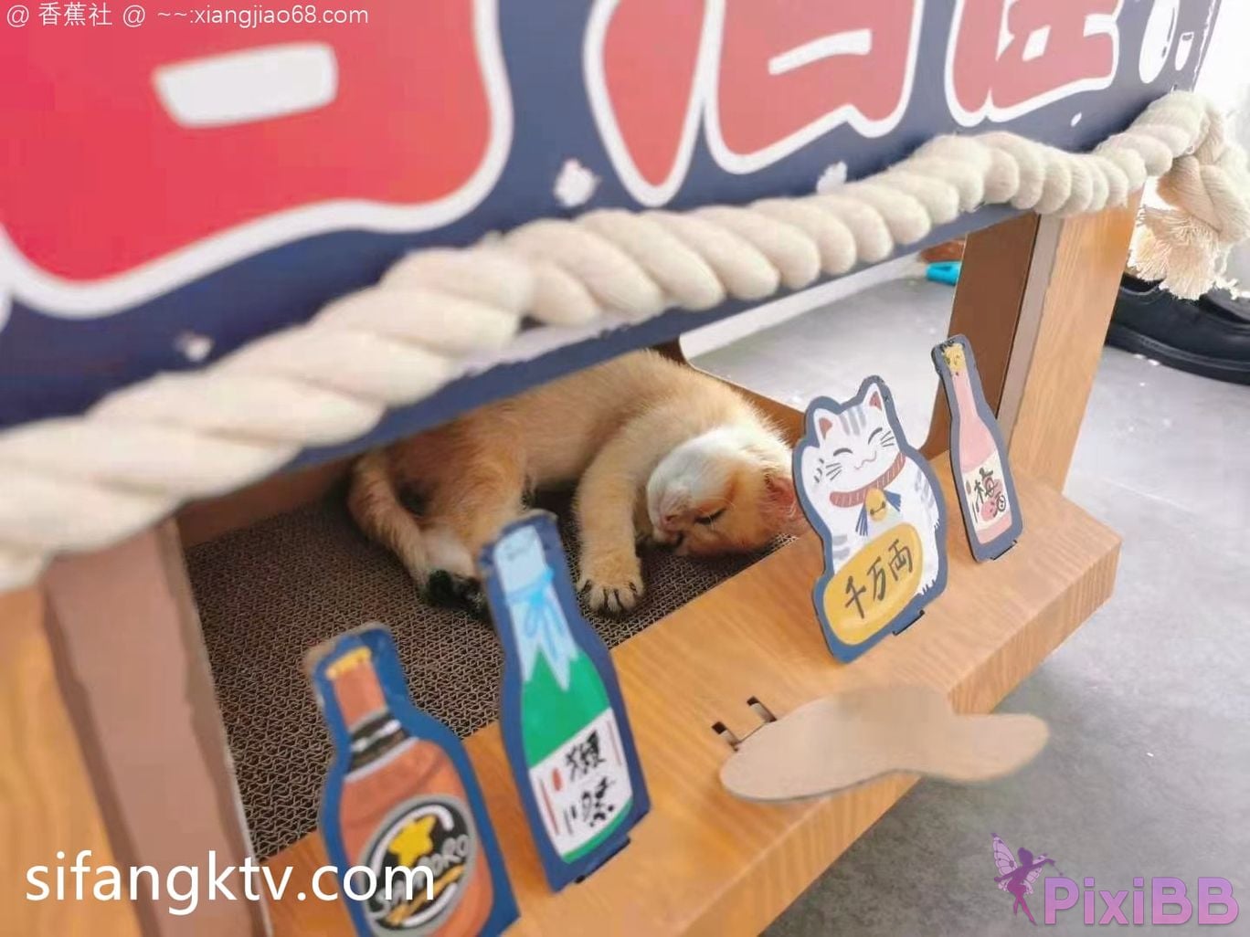 Wine Moon Big breasted goddess WisdomZ private photo selection PixiBB.COM 299