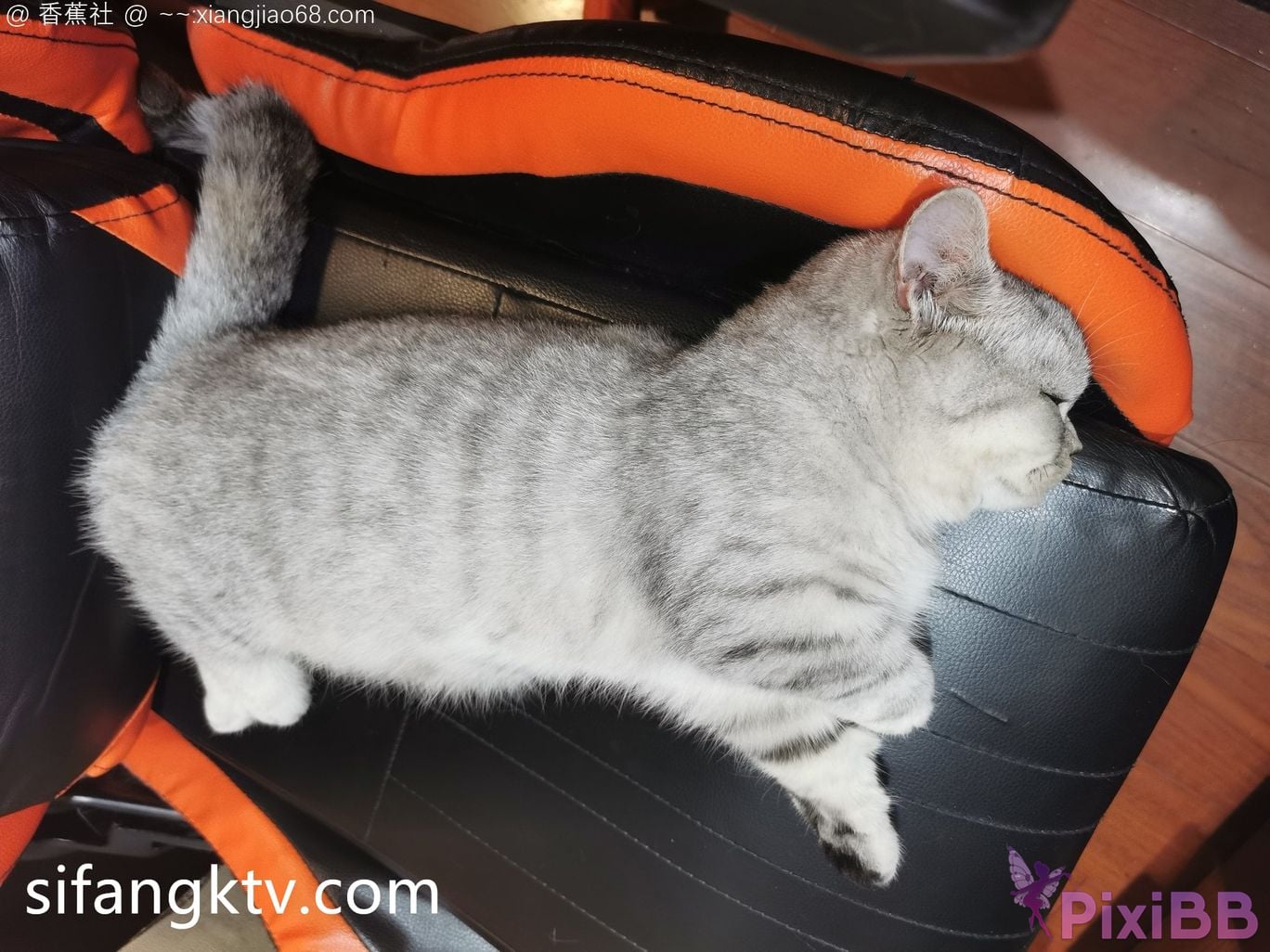 Wine Moon Big breasted goddess WisdomZ private photo selection PixiBB.COM 376