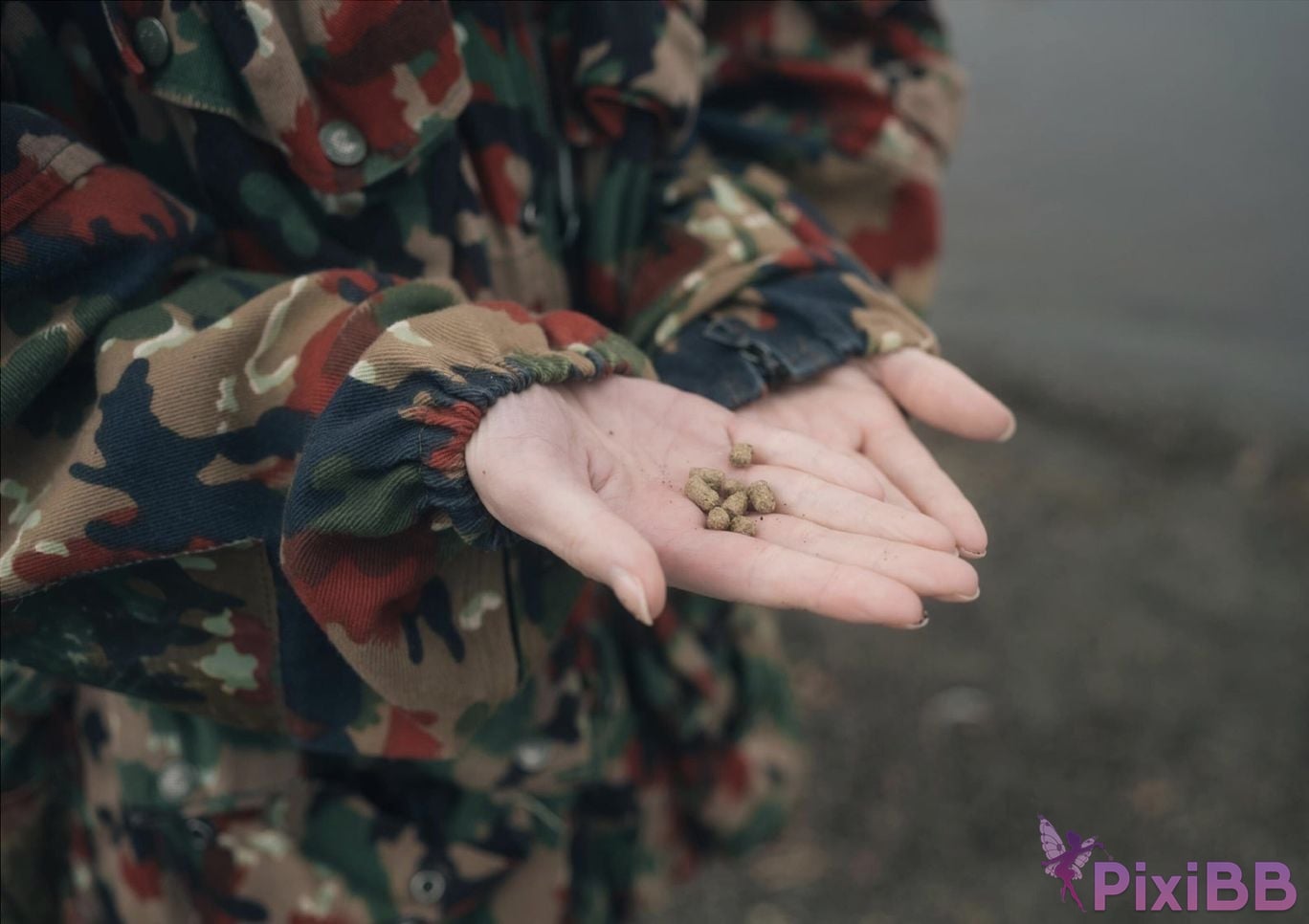 Japanese Idol Lisa Nito Risa Completely limited photo book desire Wunder Publishing House PixiBB.COM 019