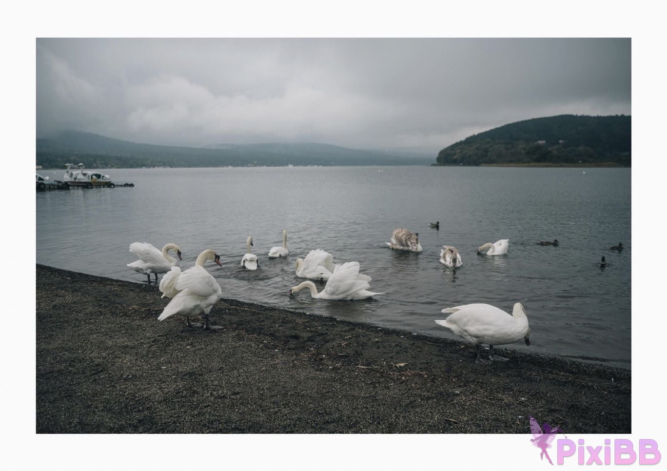 Japanese Idol Lisa Nito Risa Completely limited photo book desire Wunder Publishing House PixiBB.COM 026