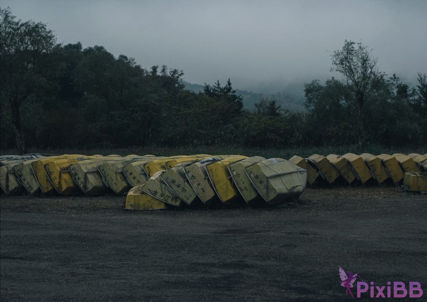 Japanese Idol Lisa Nito Risa Completely limited photo book desire Wunder Publishing House PixiBB.COM 035