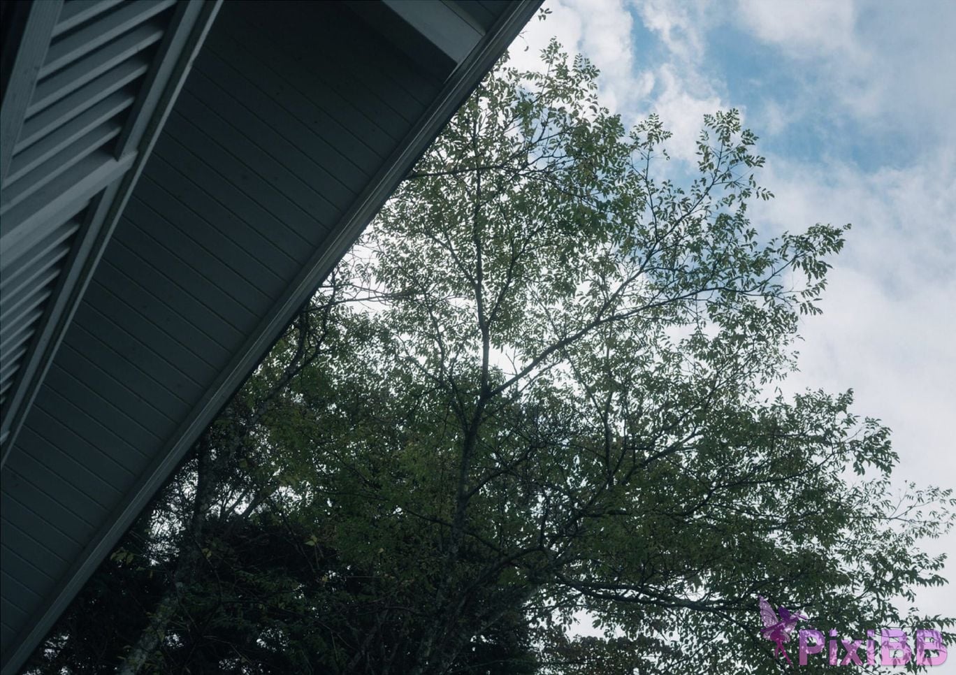 Japanese Idol Lisa Nito Risa Completely limited photo book desire Wunder Publishing House PixiBB.COM 267