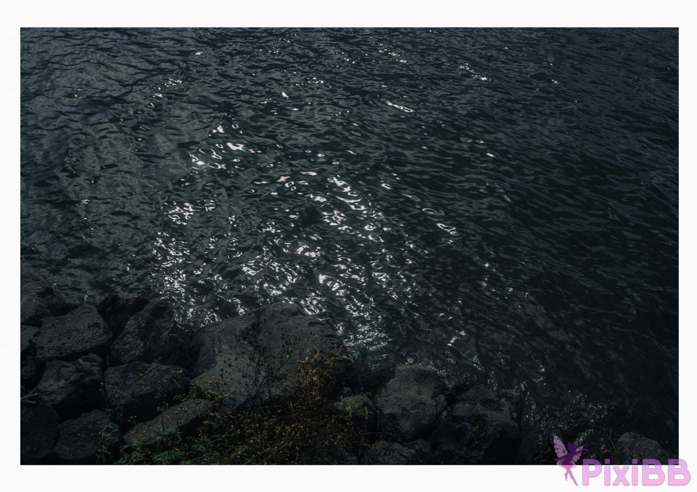 Japanese Idol Lisa Nito Risa Completely limited photo book desire Wunder Publishing House PixiBB.COM 278