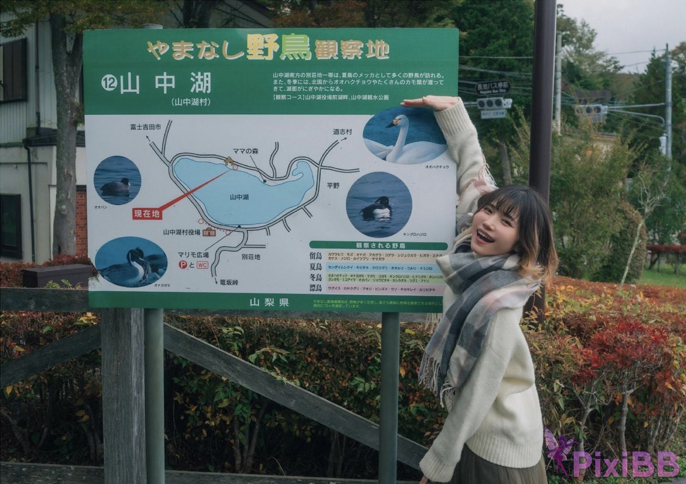 Japanese Idol Lisa Nito Risa Completely limited photo book desire Wunder Publishing House PixiBB.COM 292