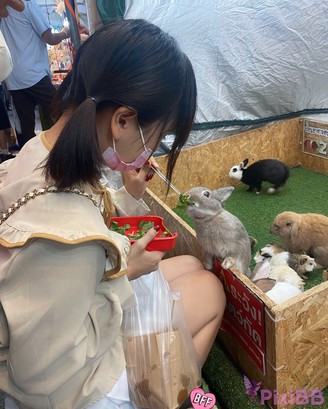 Ayumi12 big breasts G Breast girl Welfare Ji Onlyfans Video collection PixiBB.COM 017