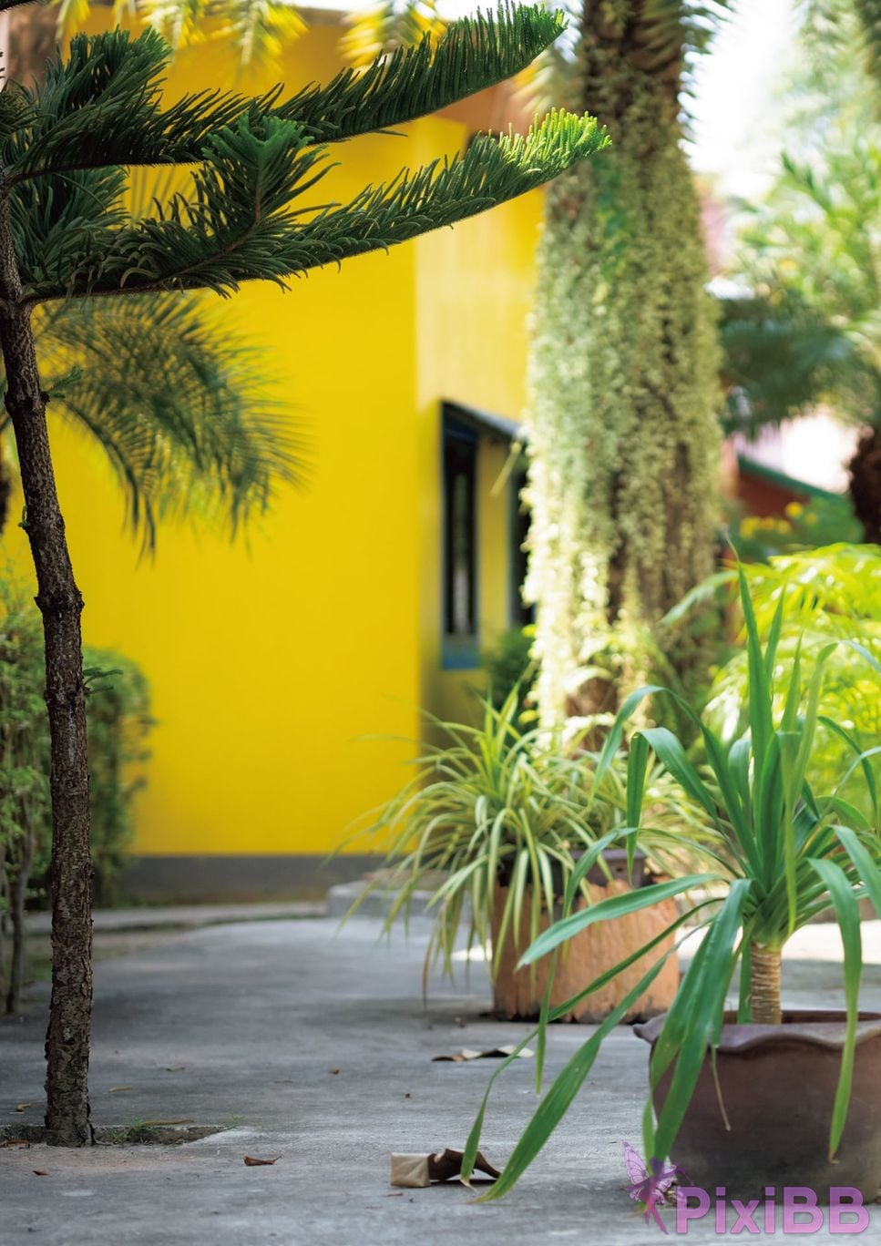 Japanese Idol Kuno Hinano Photo book mellow LUCKMAN PixiBB.COM 023