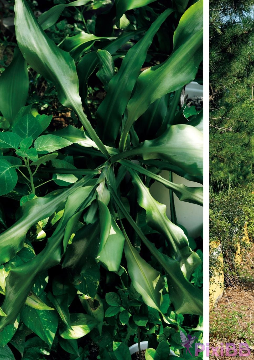 Japanese Idol Kana Nakada 2nd Photo Book Stimulating PixiBB.COM 097