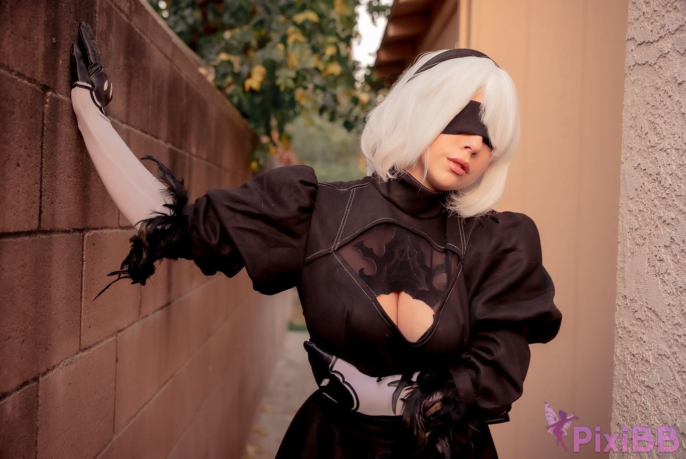 Serinide 2B PixiBB.COM 12