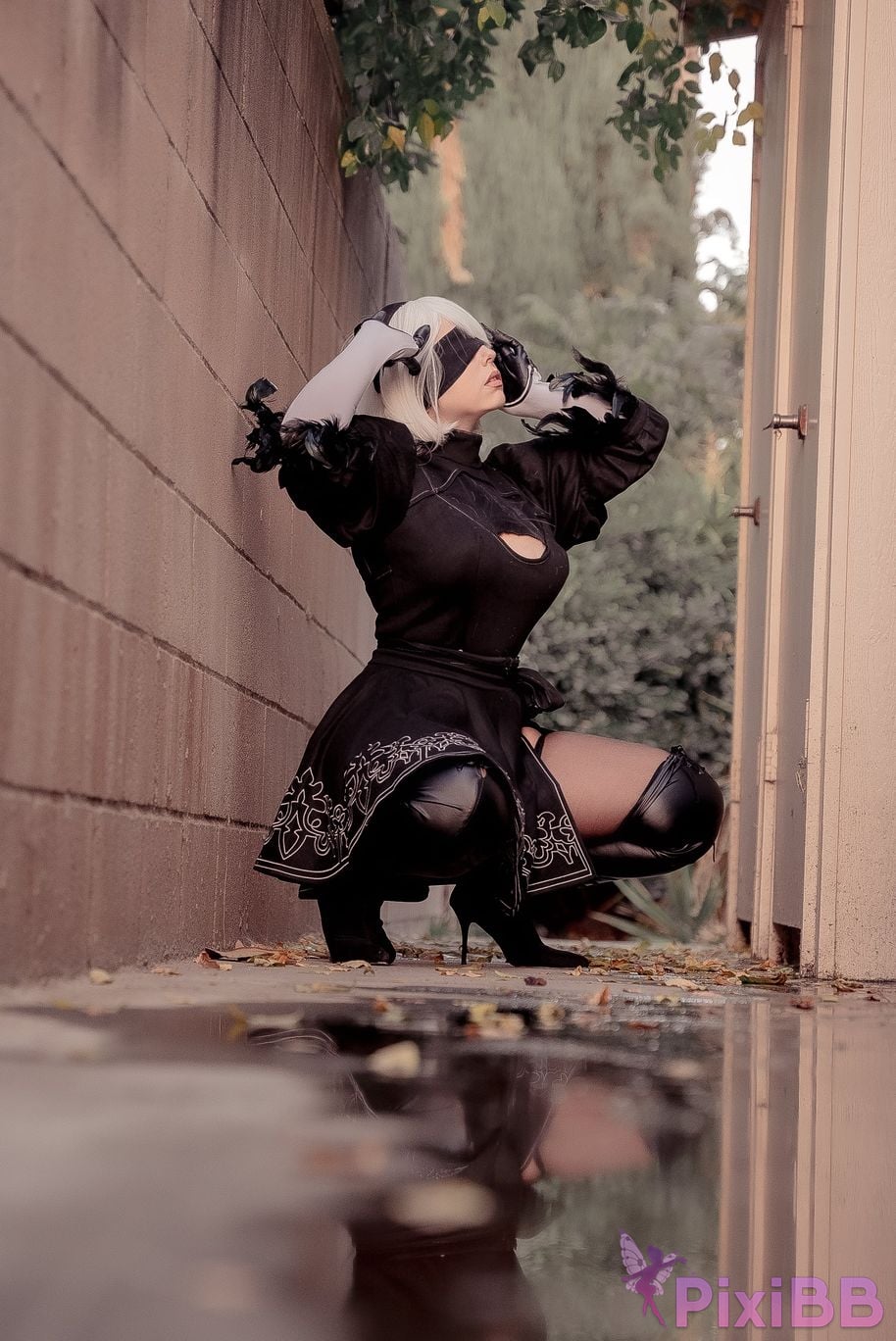 Serinide 2B PixiBB.COM 3