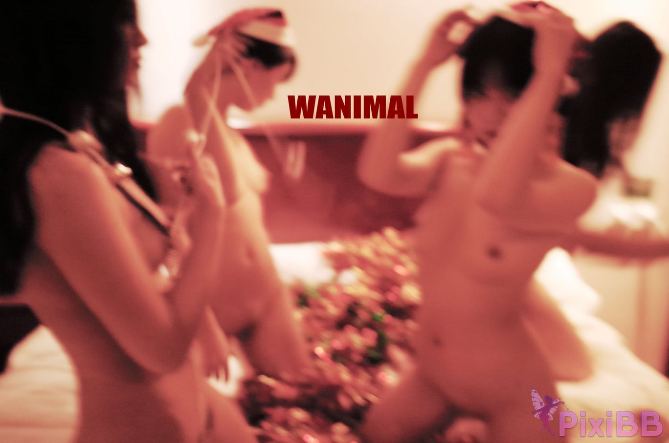 WANIMAL Wang Dong VIP Set of pictures Official product No.06 PixiBB.COM 014