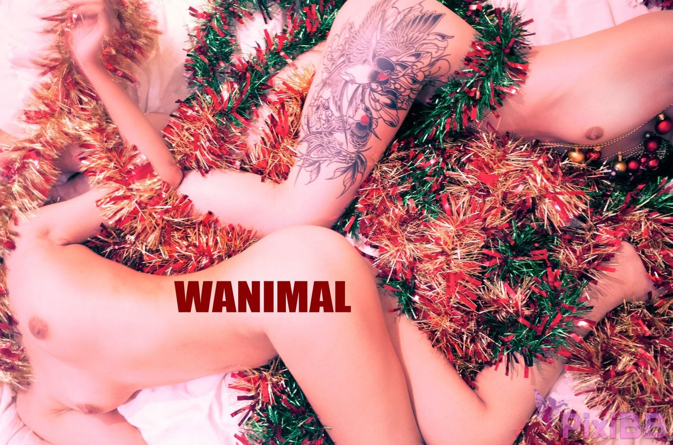 WANIMAL Wang Dong VIP Set of pictures Official product No.06 PixiBB.COM 020