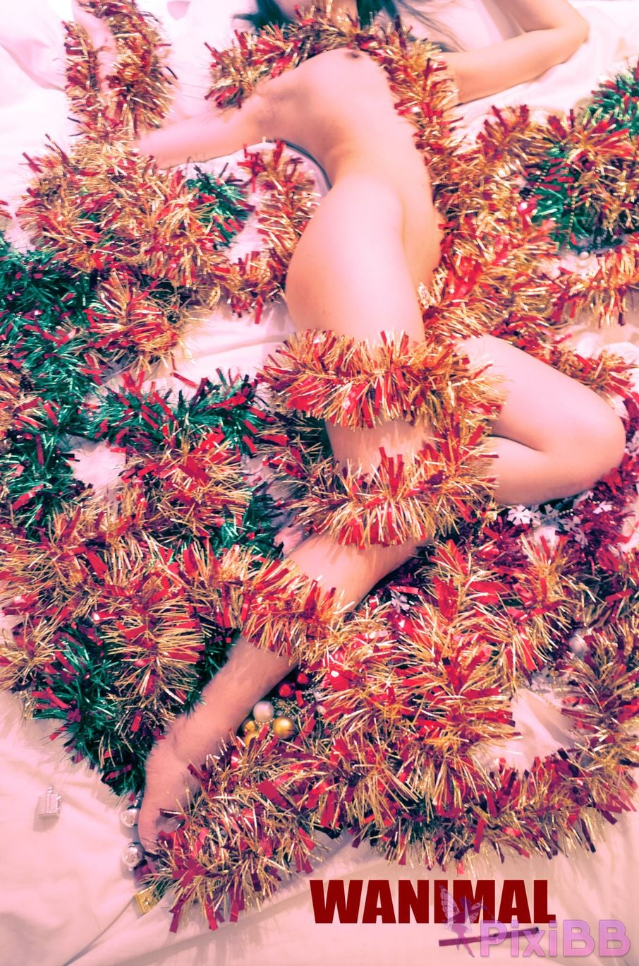 WANIMAL Wang Dong VIP Set of pictures Official product No.06 PixiBB.COM 022