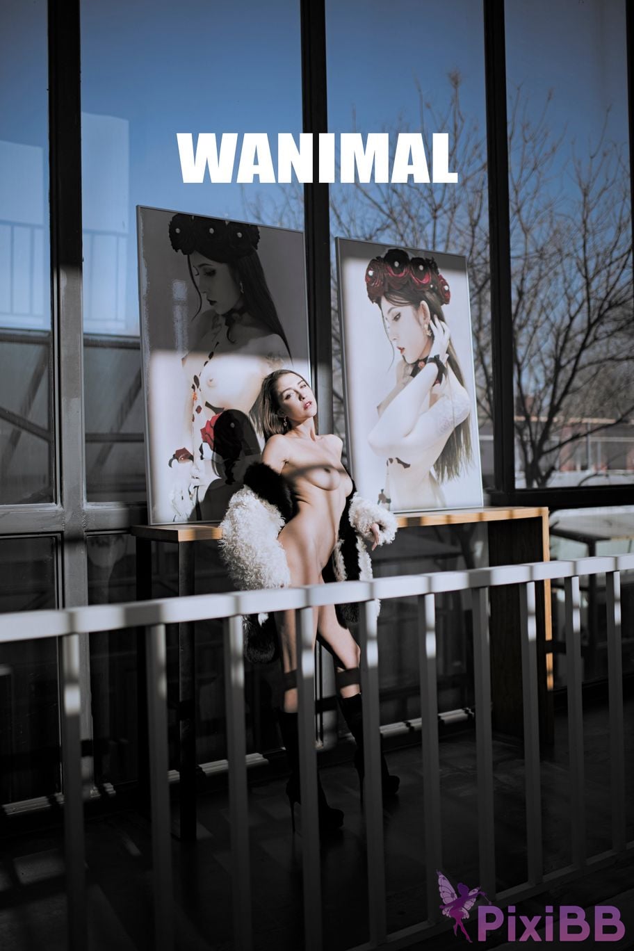 WANIMAL Wang Dong VIP Set of pictures Official product No.06 PixiBB.COM 064