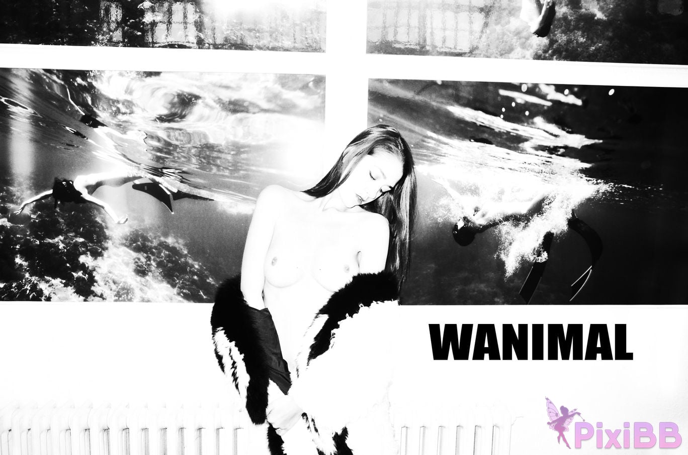 WANIMAL Wang Dong VIP Set of pictures Official product No.06 PixiBB.COM 074