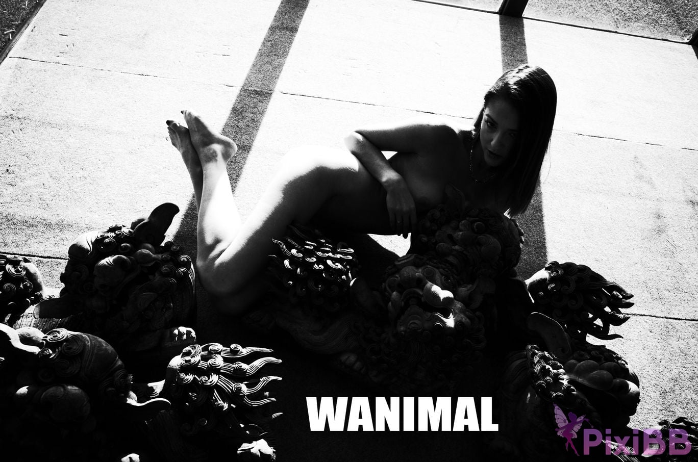 WANIMAL Wang Dong VIP Set of pictures Official product No.06 PixiBB.COM 078