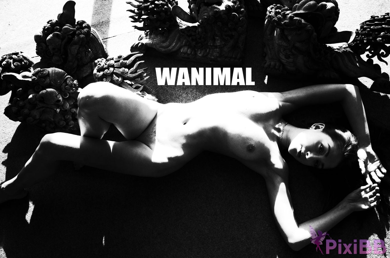 WANIMAL Wang Dong VIP Set of pictures Official product No.06 PixiBB.COM 080