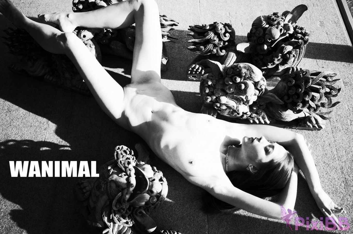 WANIMAL Wang Dong VIP Set of pictures Official product No.06 PixiBB.COM 081