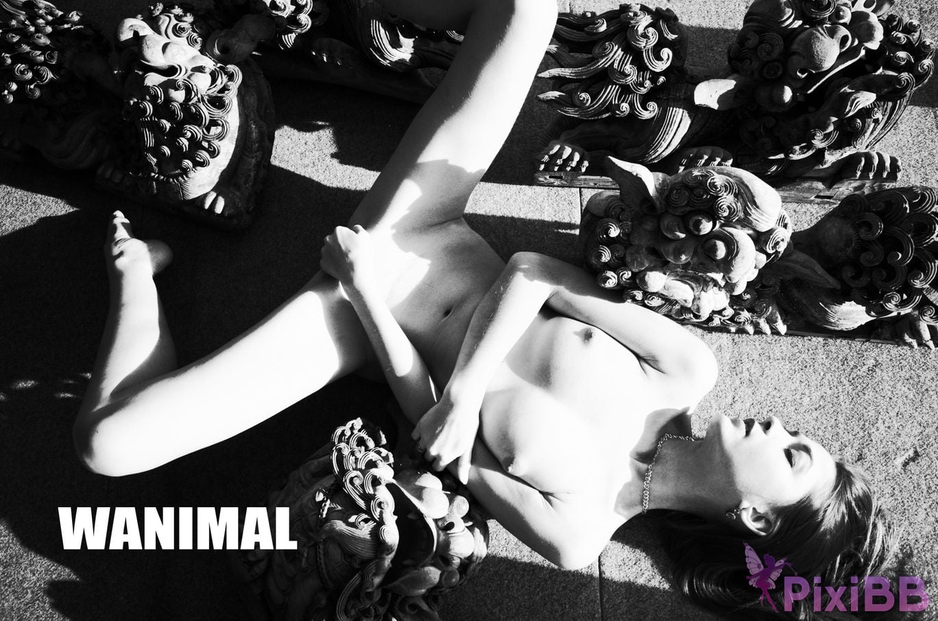 WANIMAL Wang Dong VIP Set of pictures Official product No.06 PixiBB.COM 083
