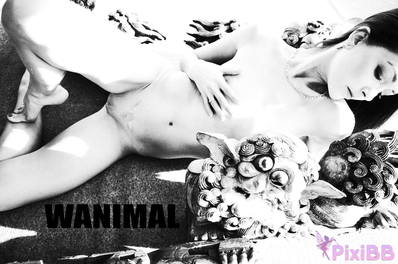 WANIMAL Wang Dong VIP Set of pictures Official product No.06 PixiBB.COM 085