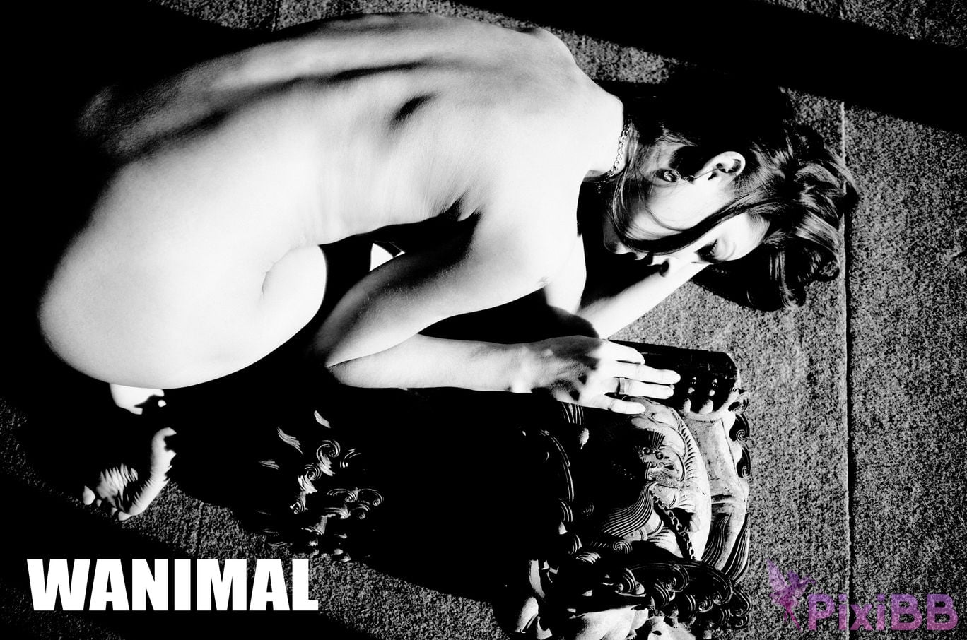 WANIMAL Wang Dong VIP Set of pictures Official product No.06 PixiBB.COM 086