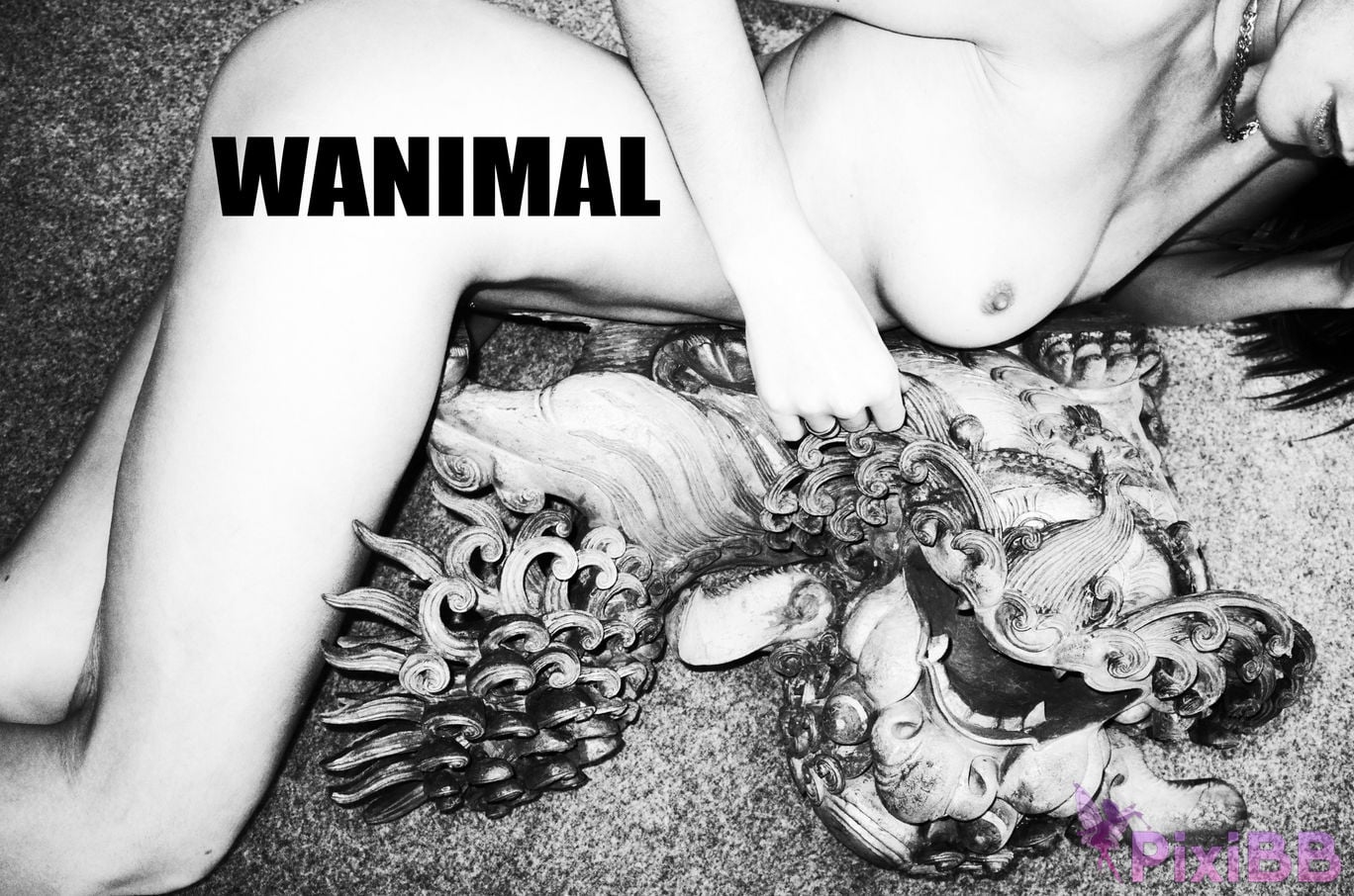 WANIMAL Wang Dong VIP Set of pictures Official product No.06 PixiBB.COM 087