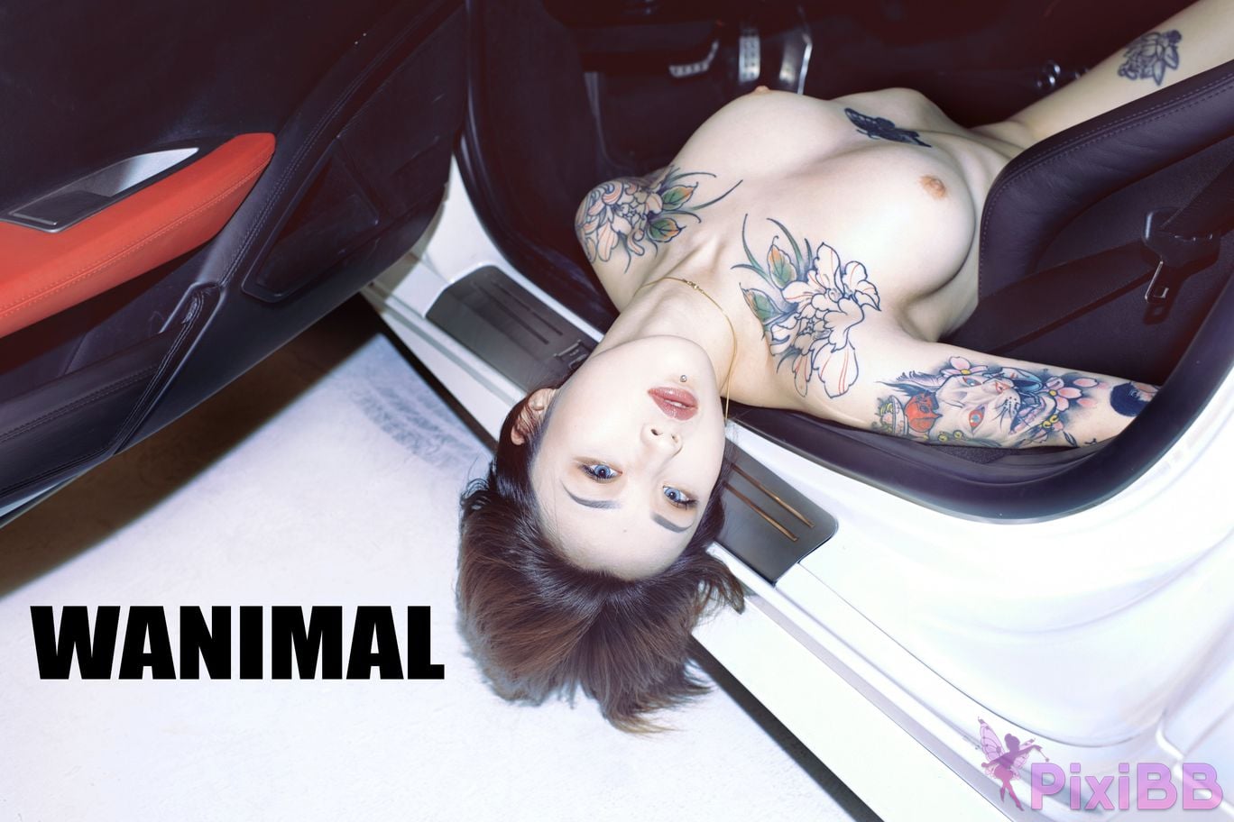 WANIMAL Wang Dong VIP Set of pictures Official product No.06 PixiBB.COM 088