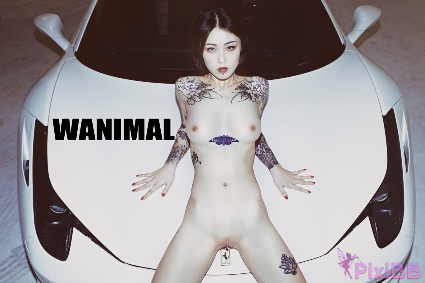 WANIMAL Wang Dong VIP Set of pictures Official product No.06 PixiBB.COM 089
